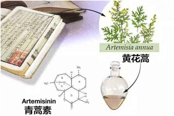 米兰在线,米兰（中国）：向中医药看齐，与世界共享中医药文化(图1)